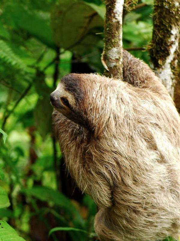 Les mondes d'Ushuaia