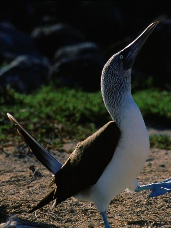 Destination Wild : Les secrets de l'Equateur