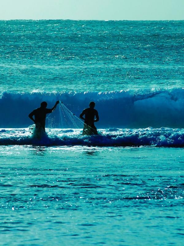 Rahui, le lagon en partage