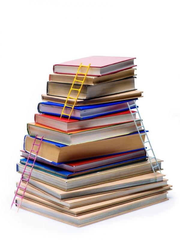 The Celebrity Inner Circle