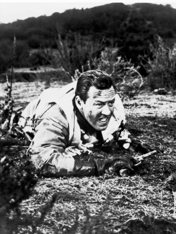 Les ponts de Toko-Ri