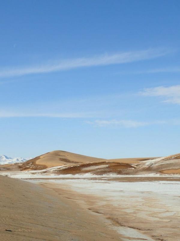 Destination Wild : Mongolie
