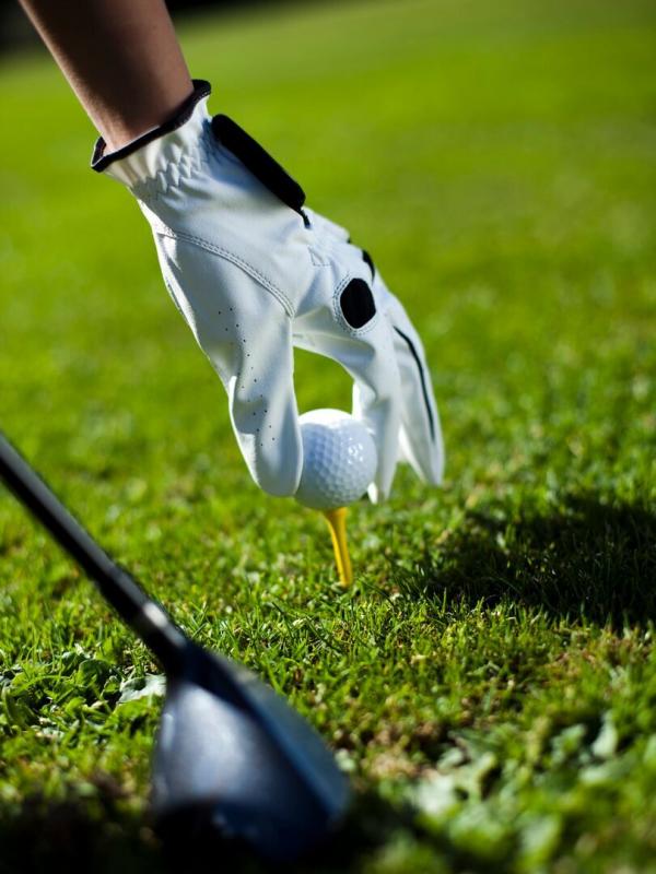 Championnat des Bermudes