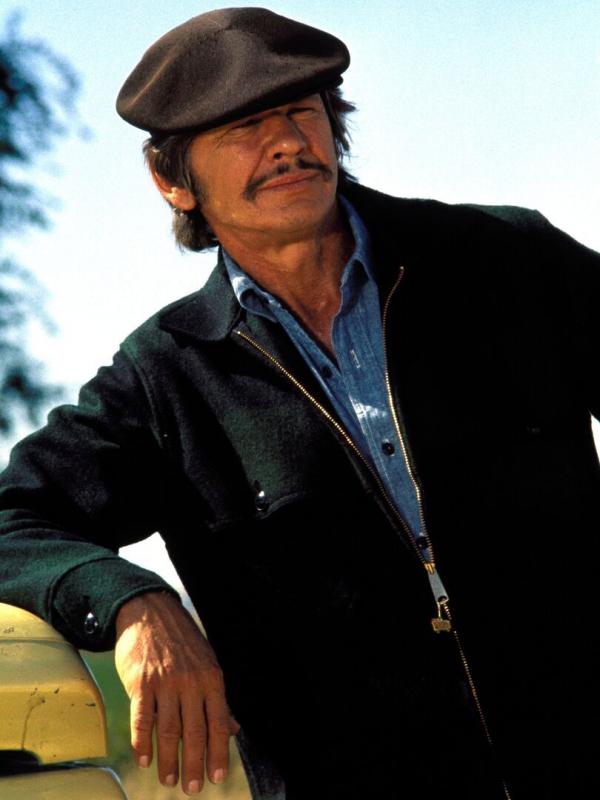 Charles Bronson, le génie du mâle