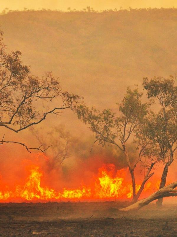 Un espoir pour la nature