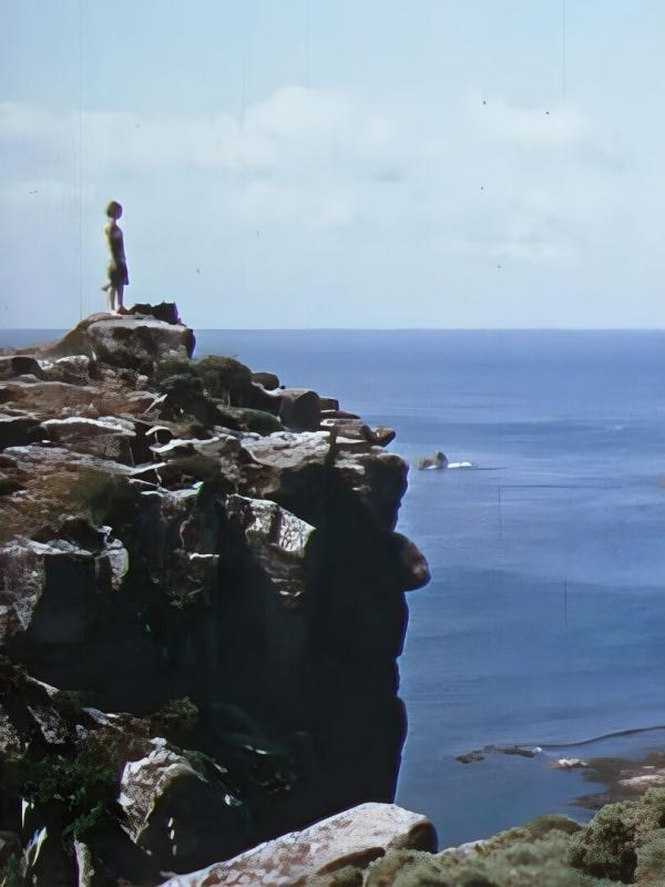 Le ventre de la bête