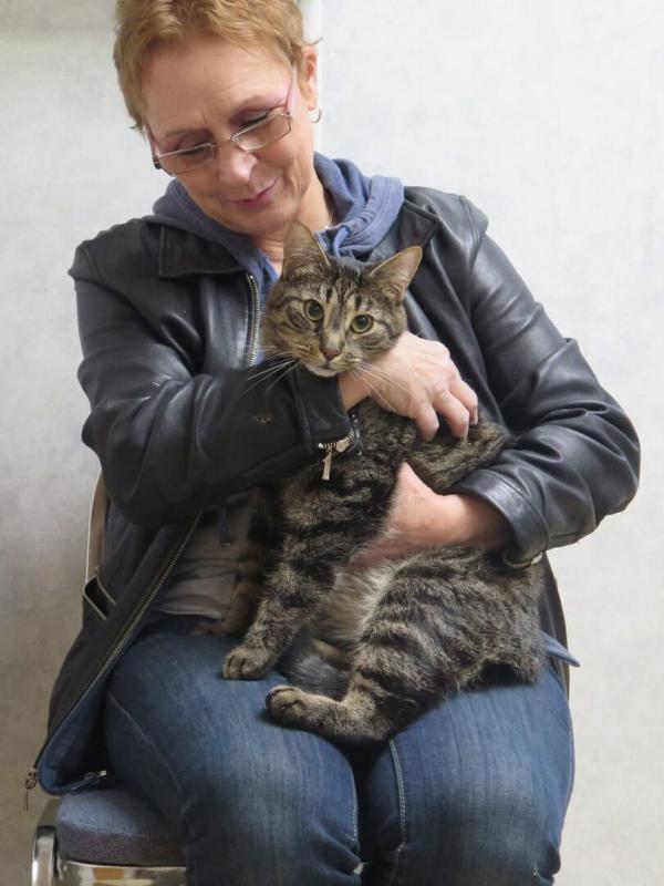 L'incroyable Dr Pol Compilations