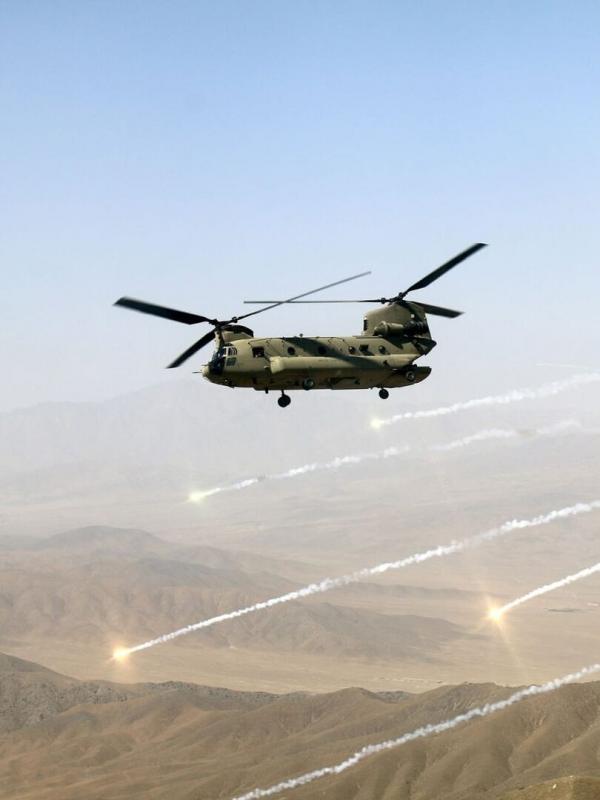 Les combattants du ciel