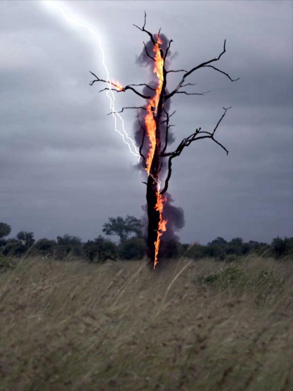 Terre, la vie cachée d'une planète