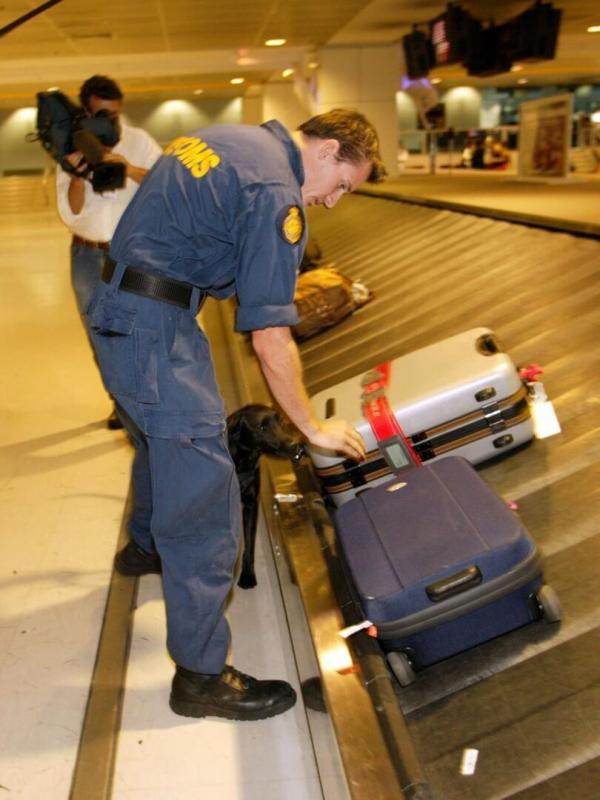 Douanes sous haute surveillance