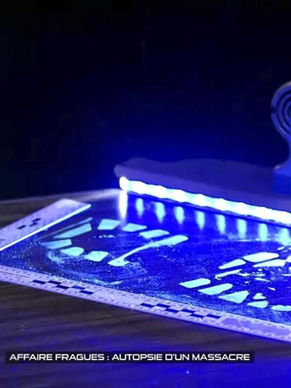 Section scientifique