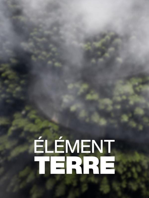 Elément Terre