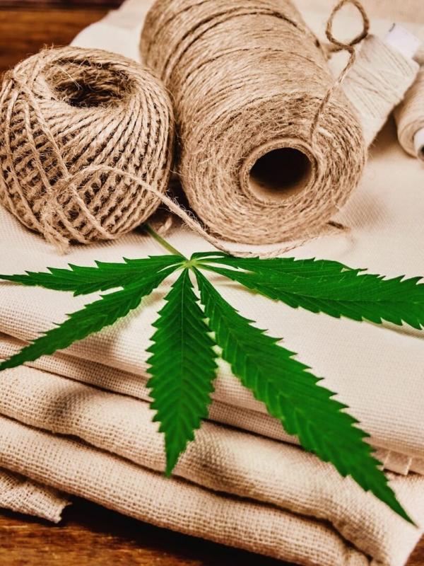 Le chanvre, cette fibre vertueuse