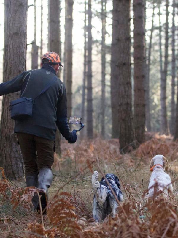 Paparazzis bécassiers