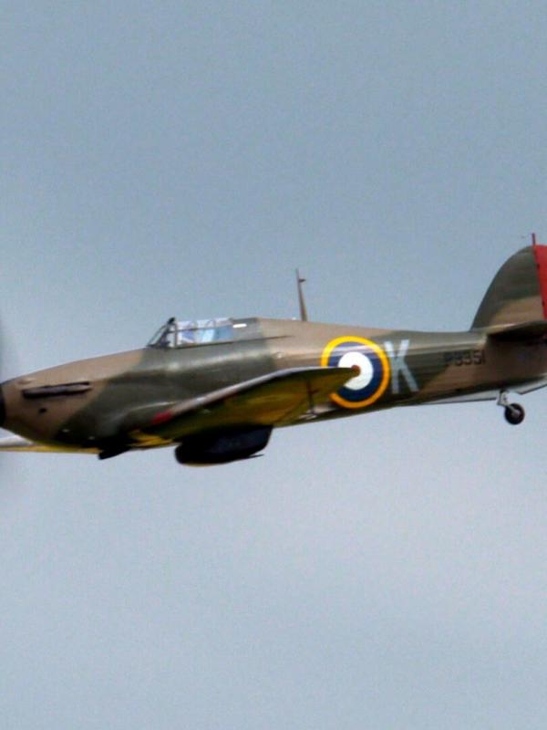 Les combattants du ciel