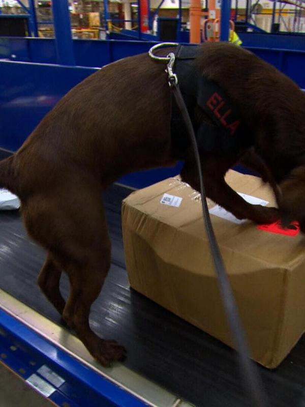 Douanes sous haute surveillance