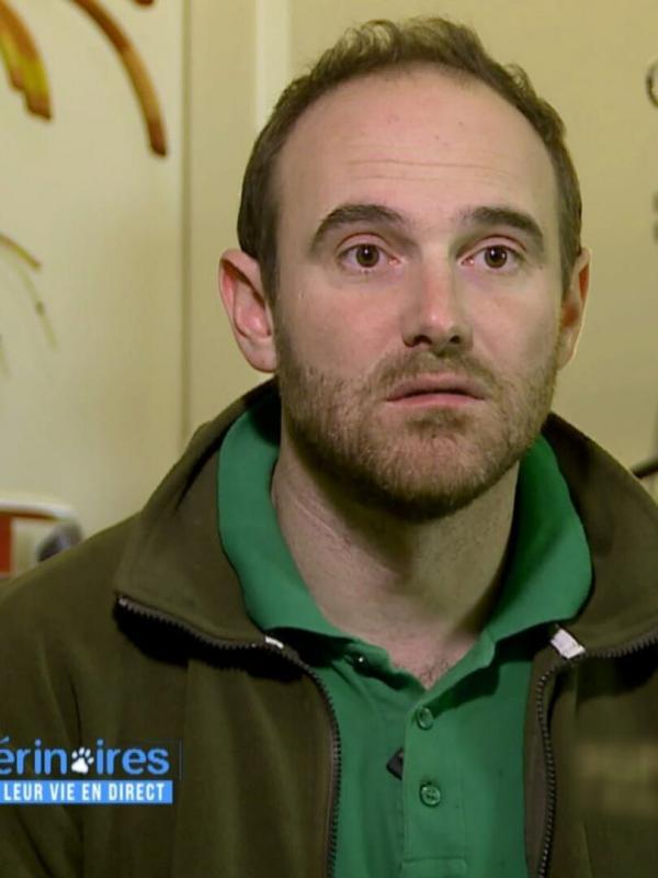 Vétérinaires, leur vie en direct