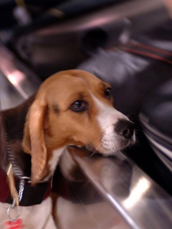 Douanes sous haute surveillance