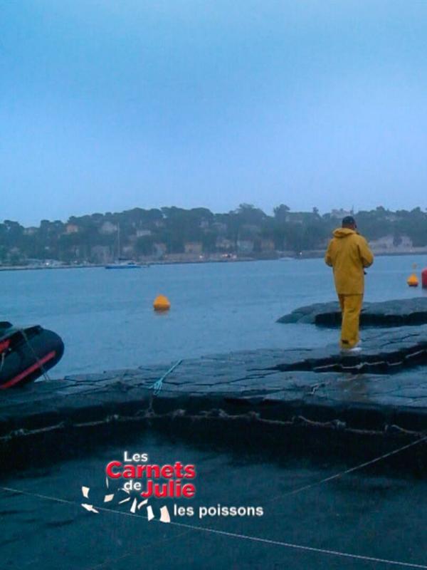 Les carnets de Julie