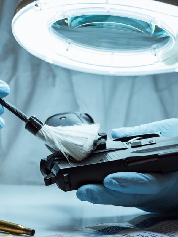 Section scientifique