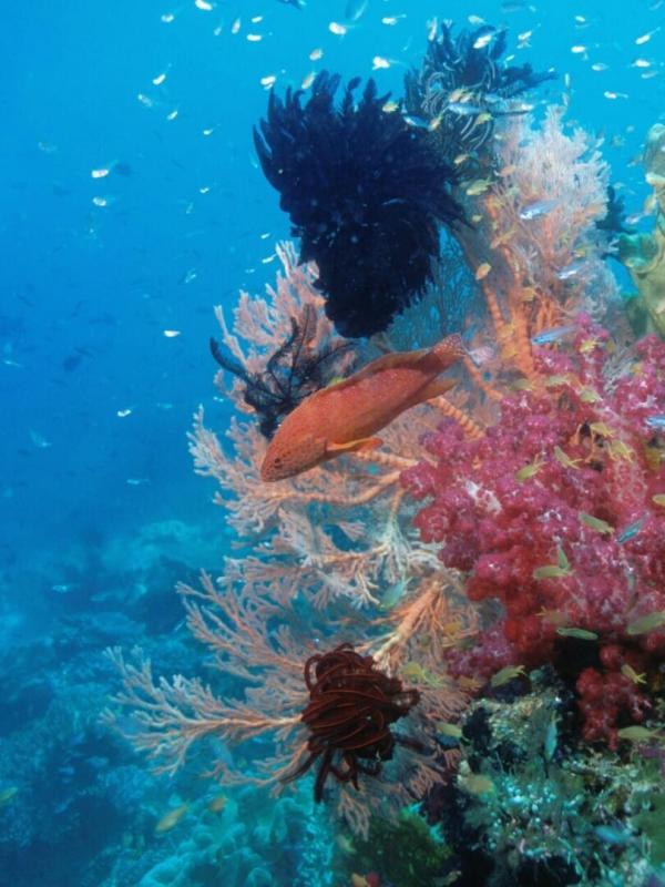 Destination Wild : Les secrets de l'Equateur