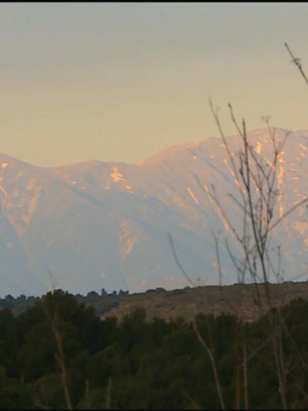 Les carnets de Julie