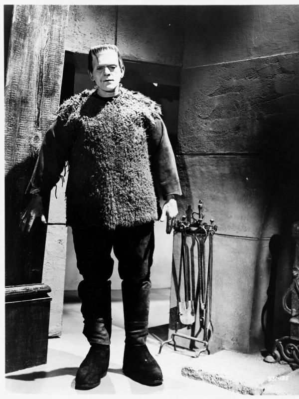 Le fils de Frankenstein