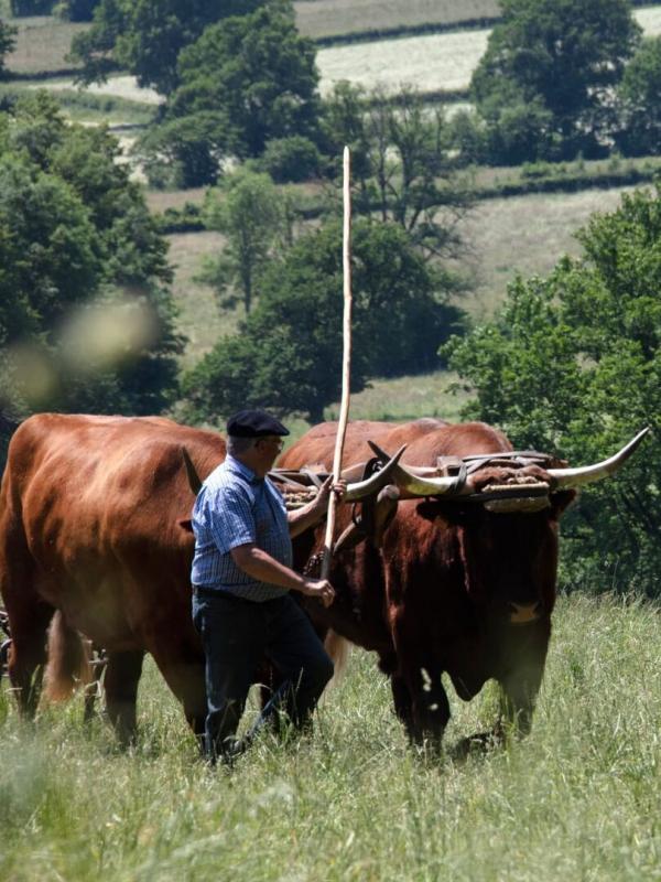 C'est le monde à l'envers !