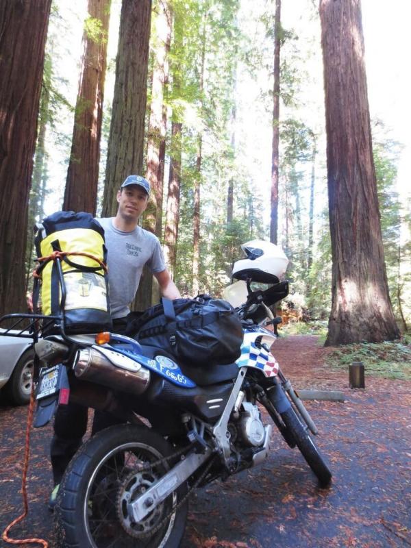 En Californie, la mission des grimpeurs d'arbres géants