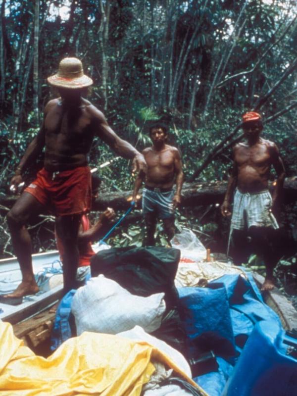 Destination Wild : Amazonie