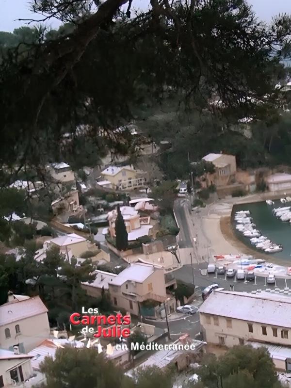 Les carnets de Julie