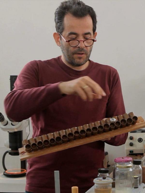 La science des forces de la nature