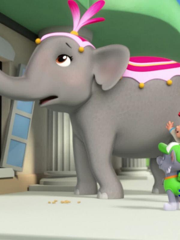 Paw Patrol S1 E13