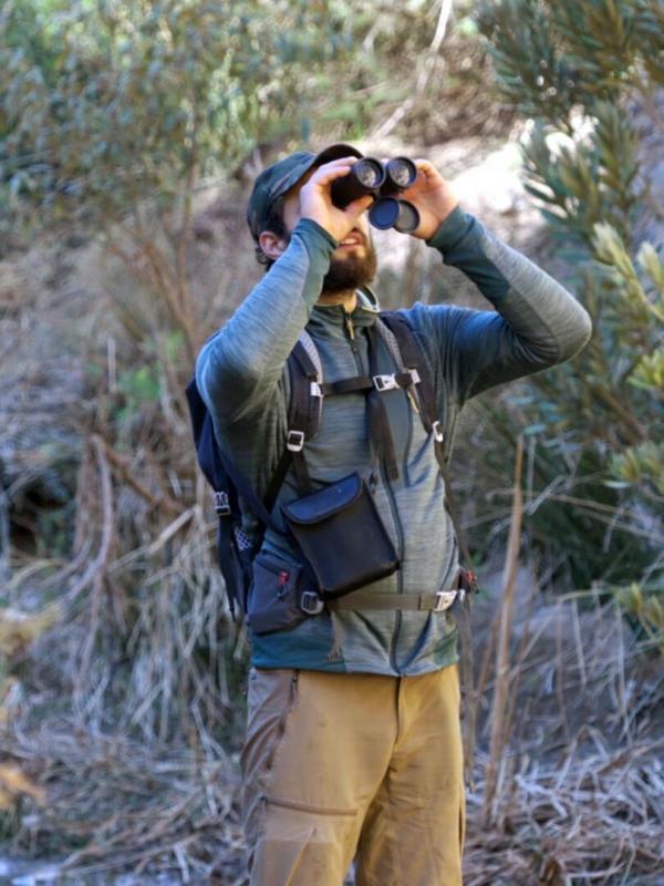 L'enfant de la forêt