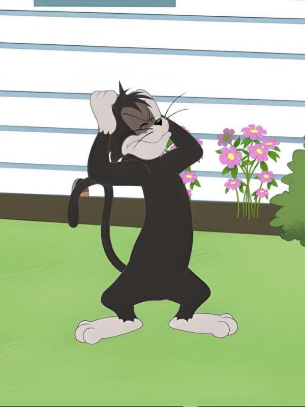 Tom et Jerry Show S4 E26