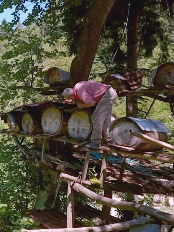 Les maîtres des abeilles