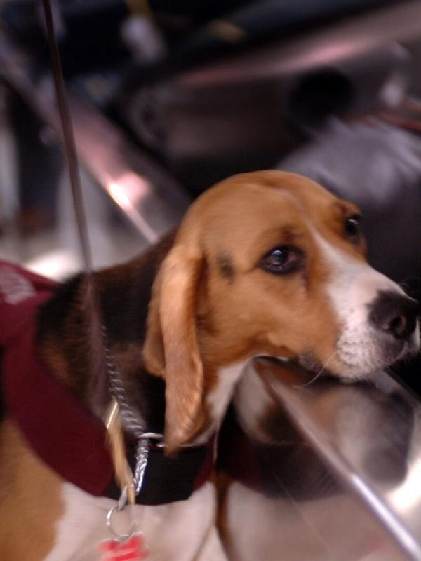 Douanes sous haute surveillance