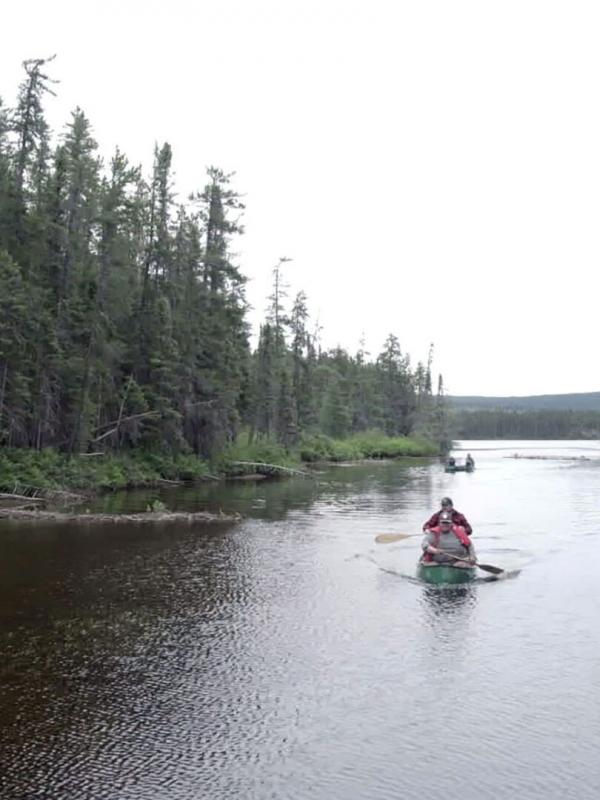 L'enfant de la forêt