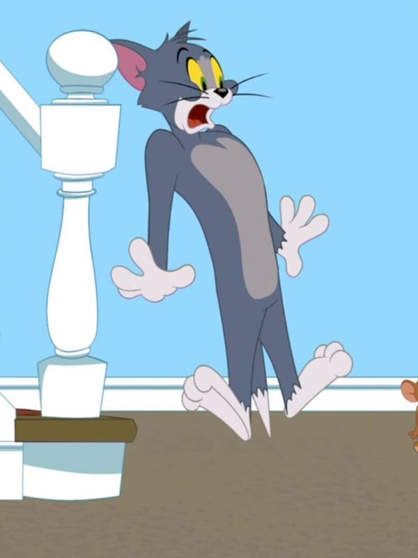 Tom et Jerry Show S4 E49