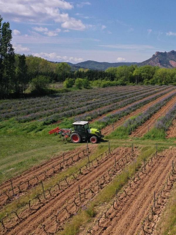 Sale temps pour la planète