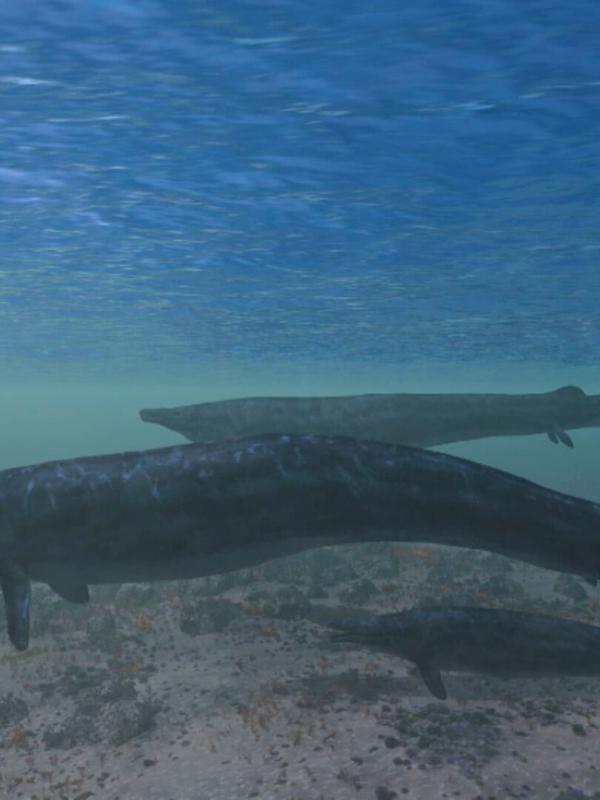 Les animaux disparus