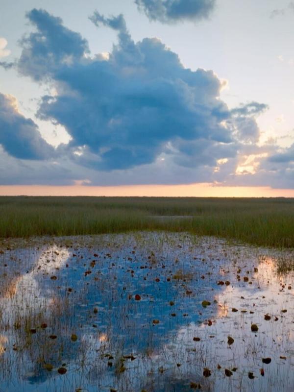 Des royaumes de terre et d'eau