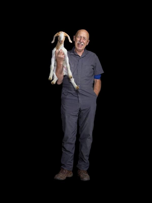 L'incroyable Dr Pol Compilations