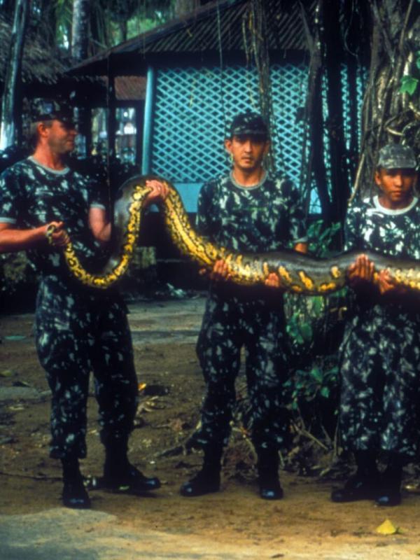 Destination Wild : Amazonie