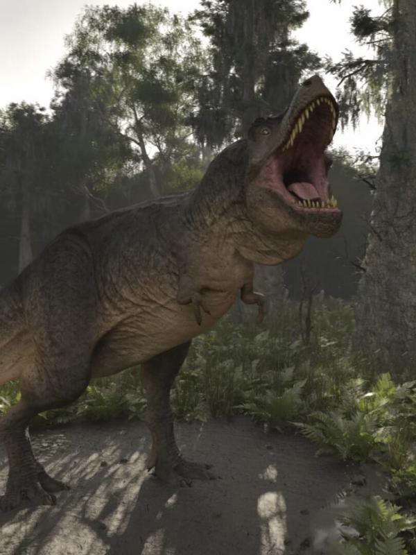 Les animaux disparus