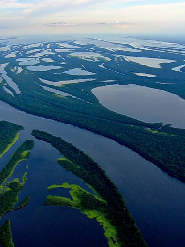 Destination Wild : Amazonie