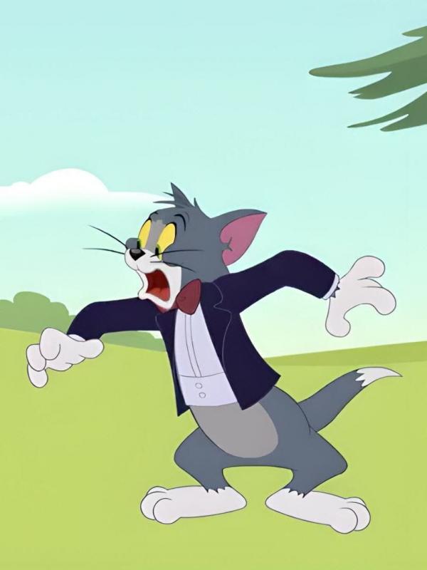 Tom et Jerry Show
