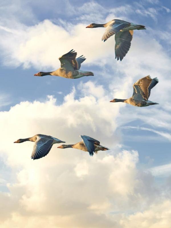 Sur la route des nuages