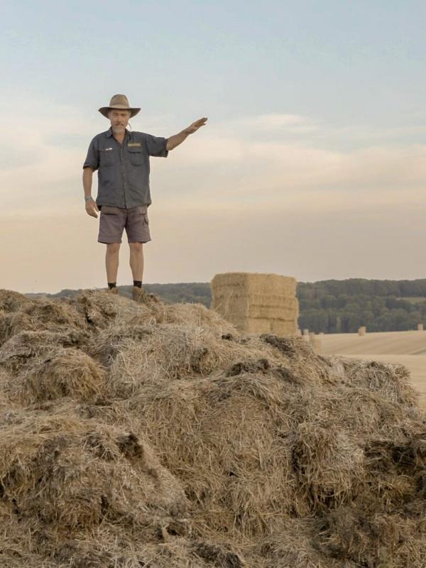 De l'or dans nos WC, nos étrons sauveront-ils le monde ?