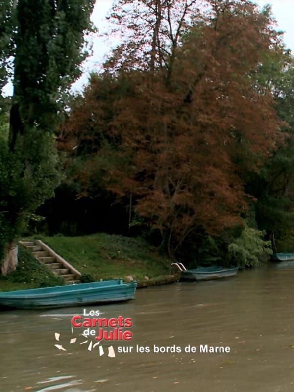 Les carnets de Julie